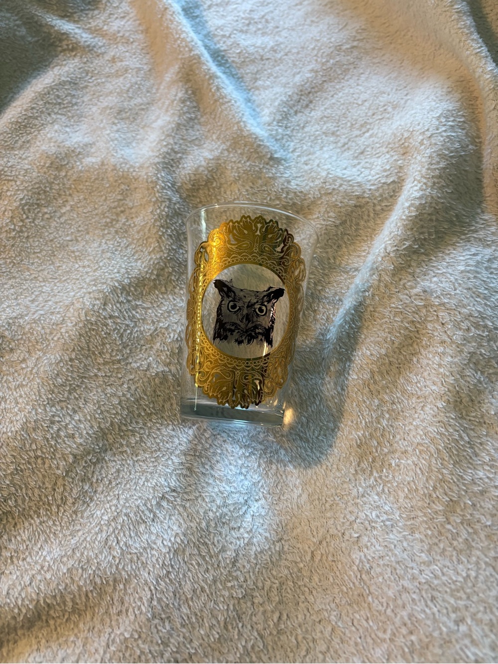 Harry Potter Hedwig Glass